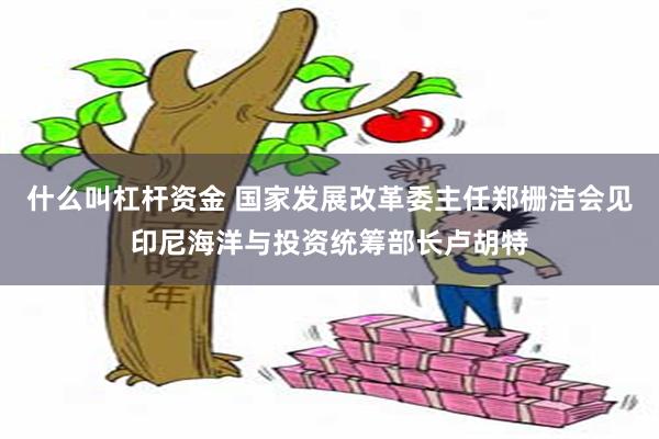 什么叫杠杆资金 国家发展改革委主任郑栅洁会见印尼海洋与投资统筹部长卢胡特