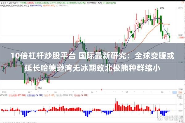 10倍杠杆炒股平台 国际最新研究：全球变暖或延长哈德逊湾无冰期致北极熊种群缩小