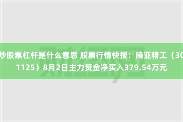 炒股票杠杆是什么意思 股票行情快报：腾亚精工（301125）8月2日主力资金净买入379.54万元