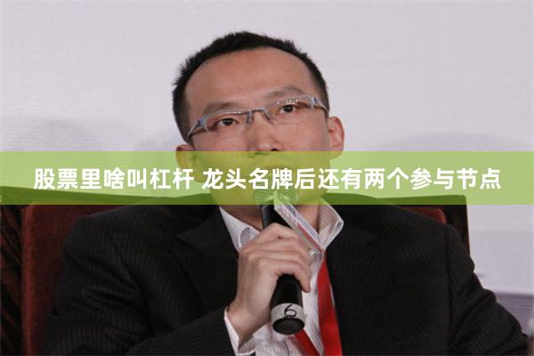 股票里啥叫杠杆 龙头名牌后还有两个参与节点