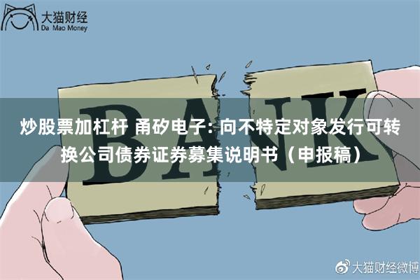 炒股票加杠杆 甬矽电子: 向不特定对象发行可转换公司债券证券募集说明书（申报稿）