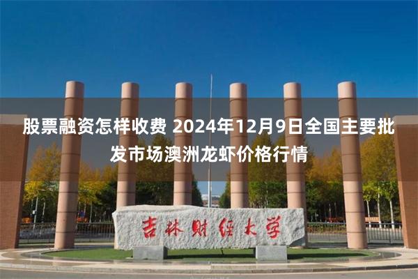 股票融资怎样收费 2024年12月9日全国主要批发市场澳洲龙虾价格行情