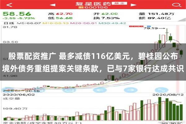 股票配资推广 最多减债116亿美元，碧桂园公布境外债务重组提案关键条款，已与7家银行达成共识